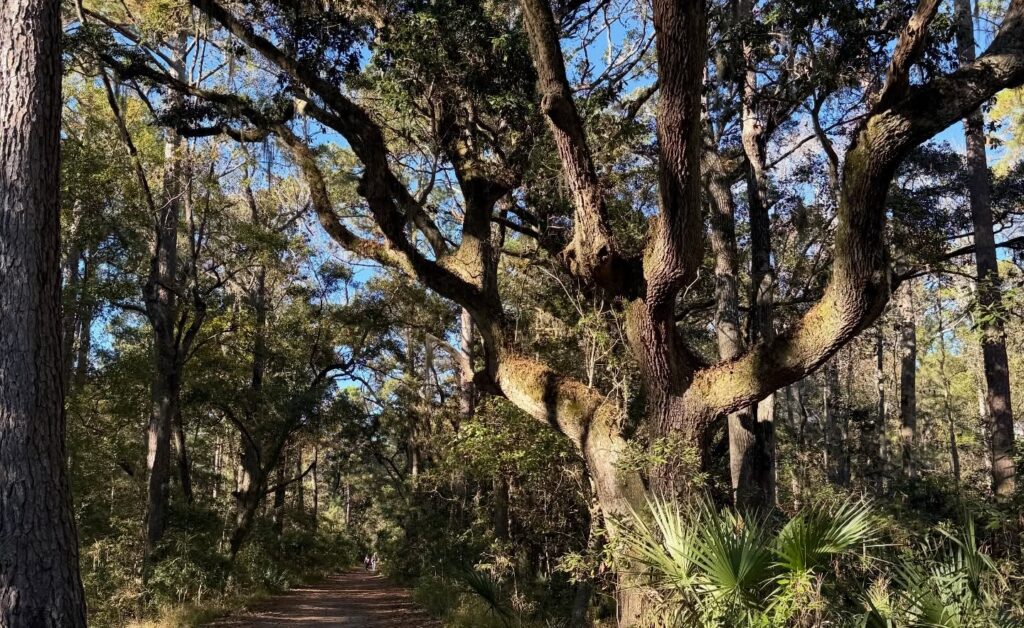 Skidaway Island State Park