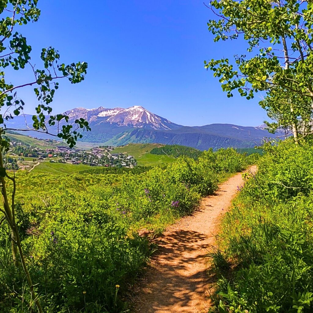 Snodgrass Mountain: A Fall Favorite in Crested Butte