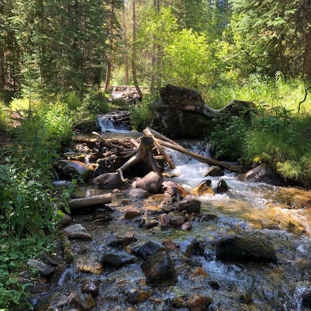 Snowflake Trailhead