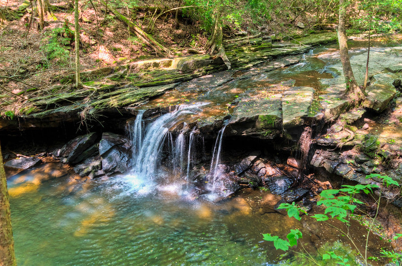 South Cumberland State Park - Fiery Gizzard