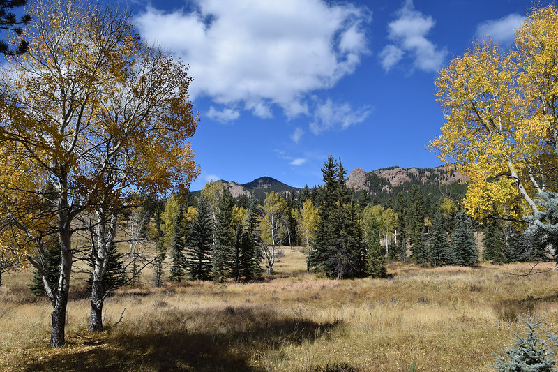 Staunton Ranch and Bugling Elk Loop Trail