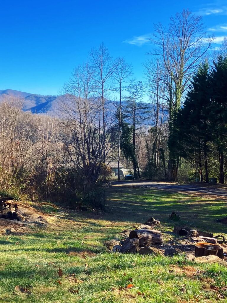 Sylva Mountain Views and Main Street Energy 1