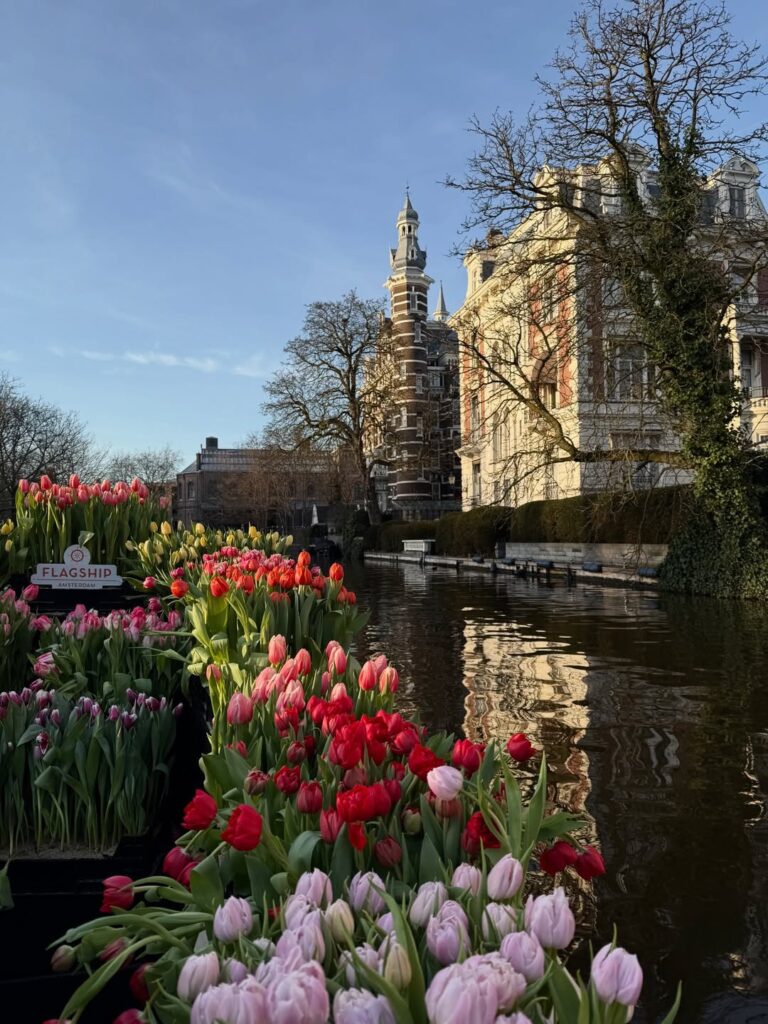 Tulip-filled Boat, Amsterdam, Netherlands