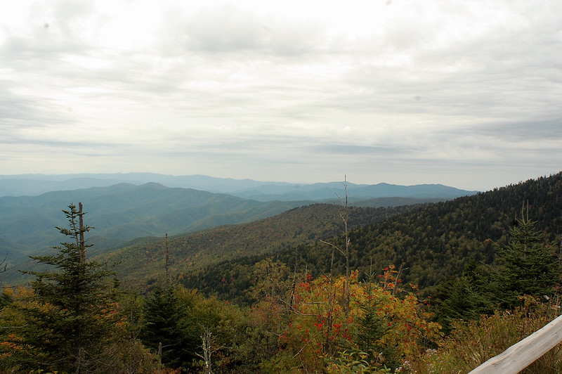 Views from Clingmans Dome