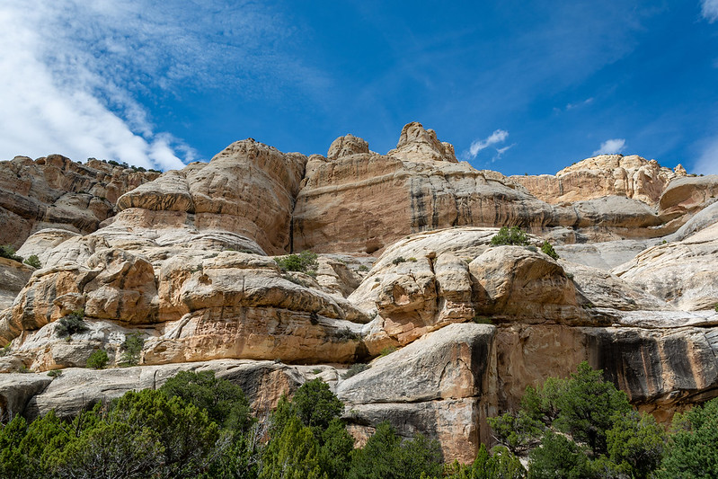 Walk Through Dinosaur National Monument (Nearby)