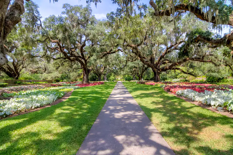 Wander Through Brookgreen Gardens
