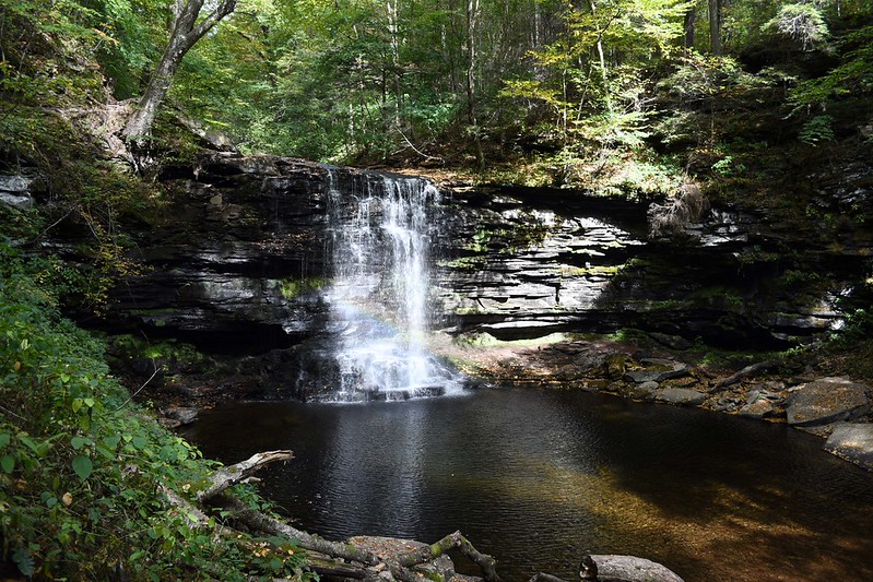 Waterfall - Ricketts Glen