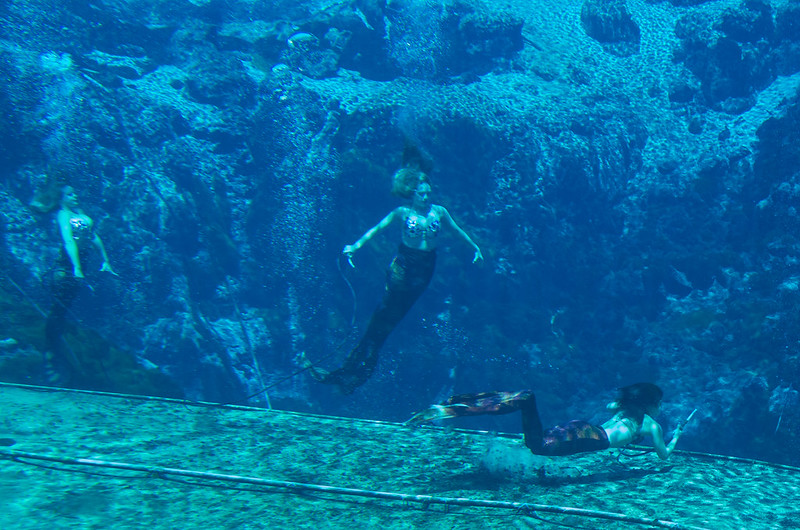 Weeki Wachee