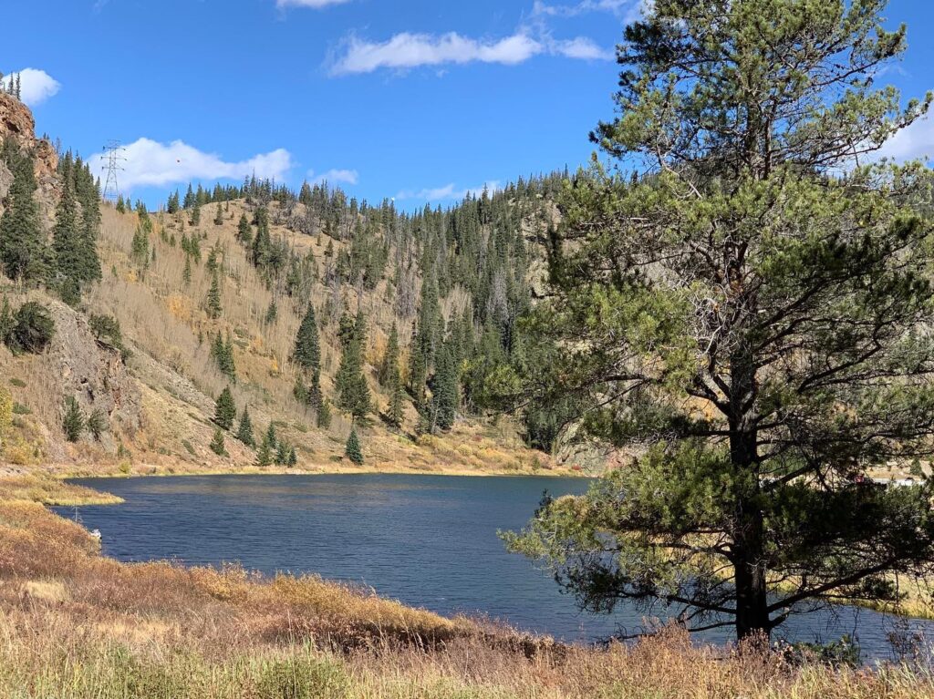 Wheeler Lakes