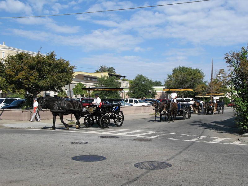 Wrap Up Your Day with a Charming Carriage Ride 1