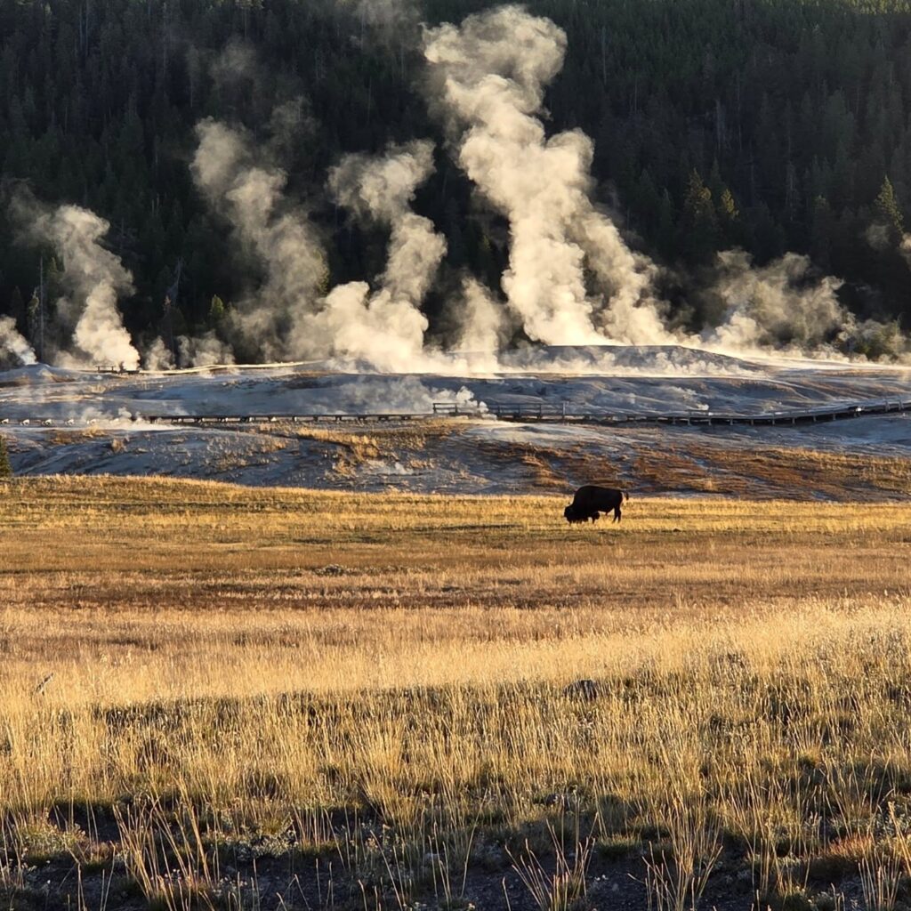 Yellowstone Upper Geyser Basin