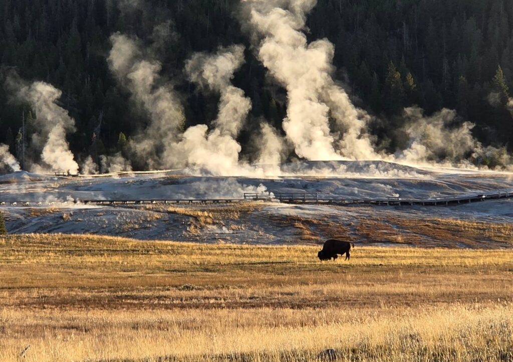Yellowstone Upper Geyser Basin