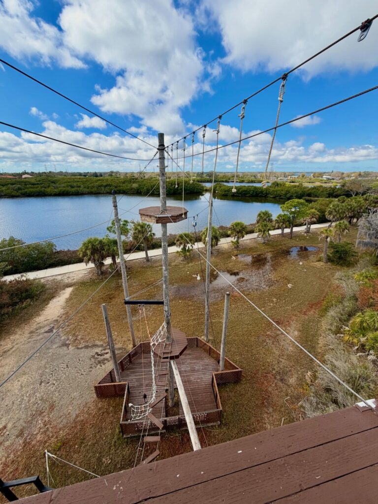 Zip on Tampa Bay