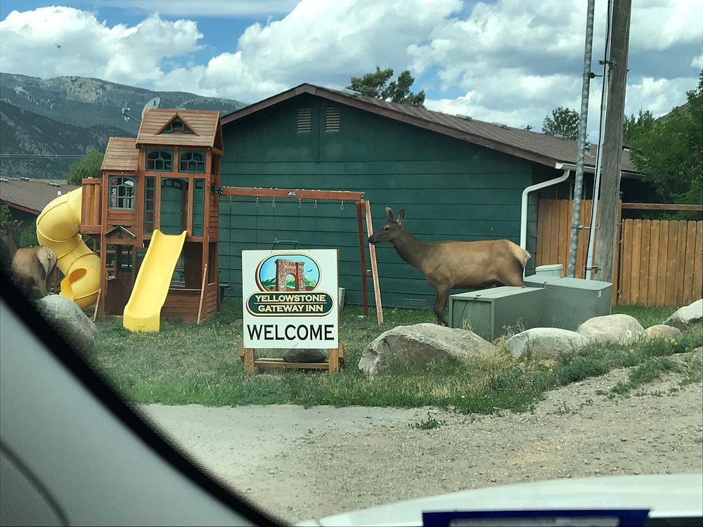 yellowstone-gateway-inn