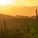 Best Small Towns in Arizona That Will Surprise You