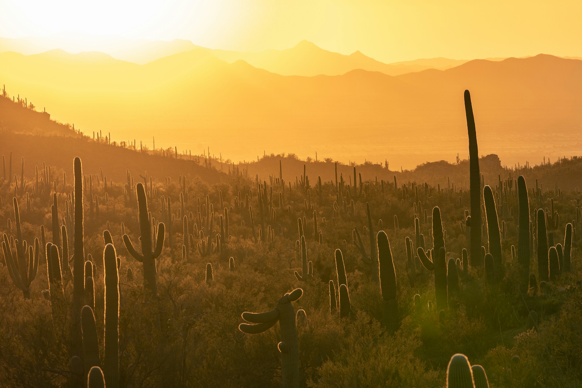 Best Small Towns in Arizona That Will Surprise You