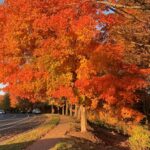 Cozy Small Towns to Visit in the Fall Season 1