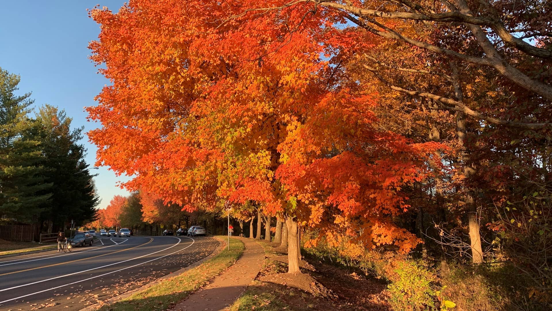 Cozy Small Towns to Visit in the Fall Season 1