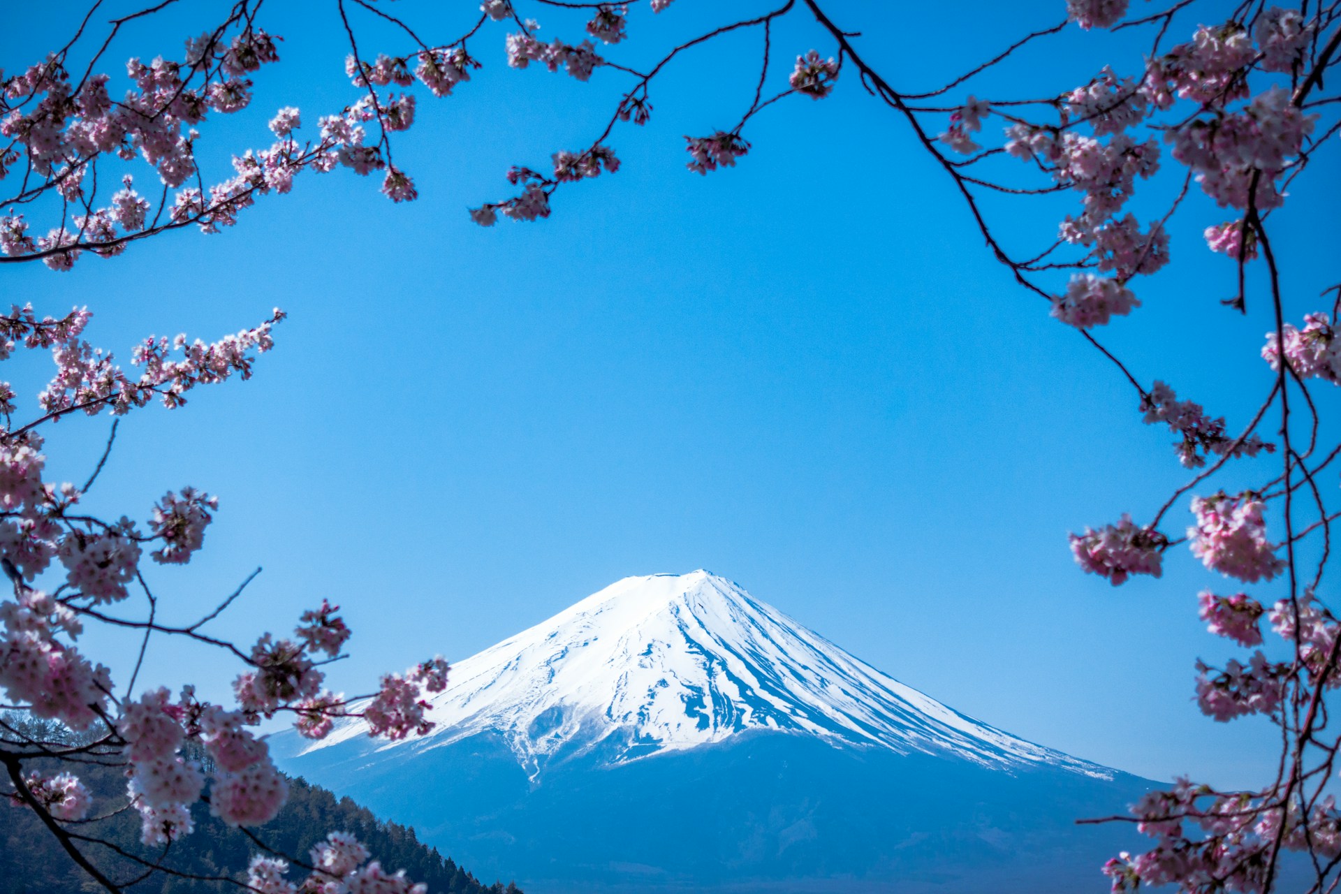 Beautiful Places to Travel in Japan for an Unforgettable Journey