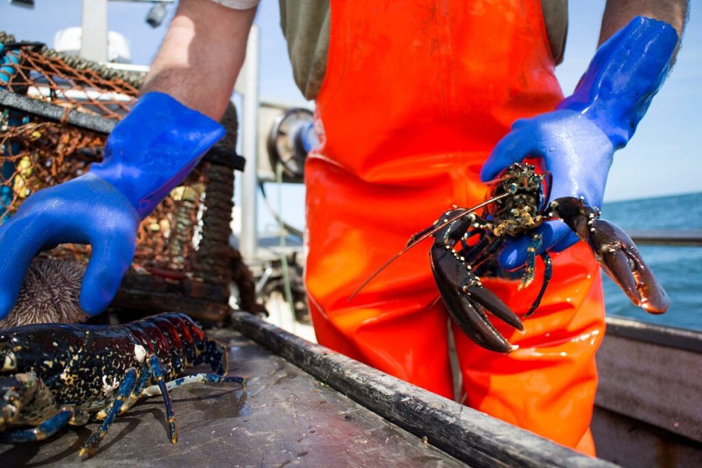 A Lobsterman Tells His Stories
