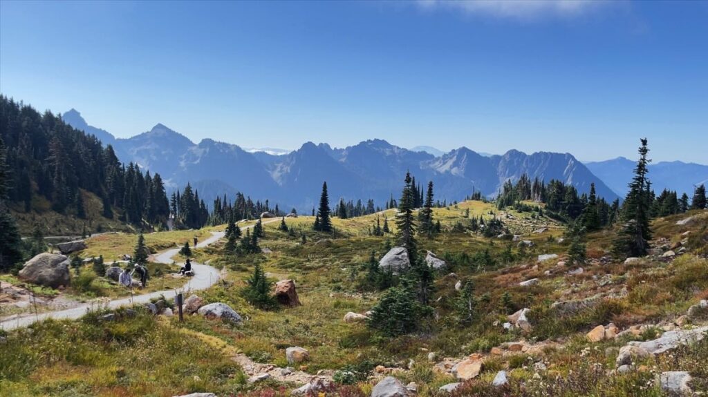 Alta Vista Trail