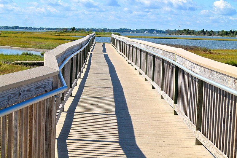 Assateague Island is a rare seashore getaway.