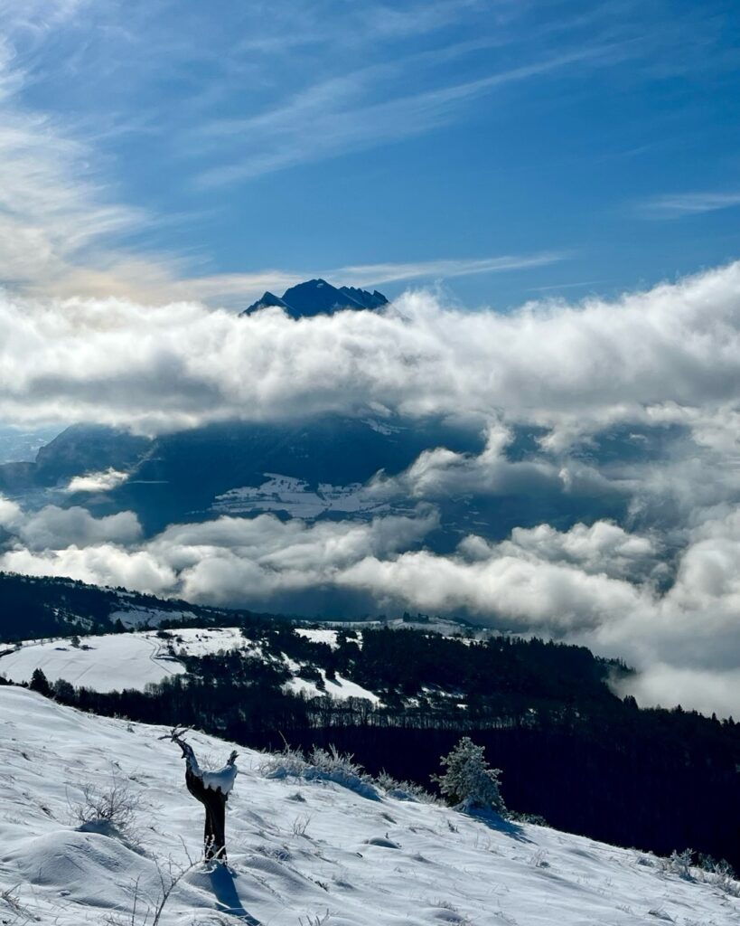 Auvergne-Rhône-Alpes