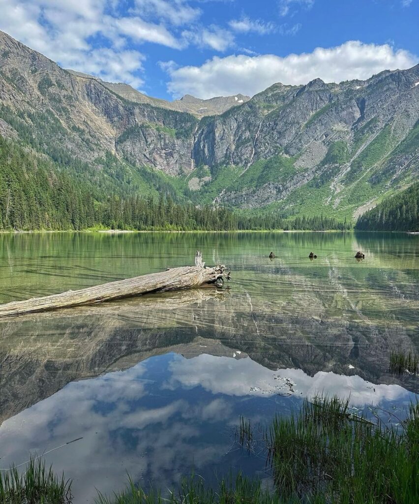 Avalanche Lake Trail