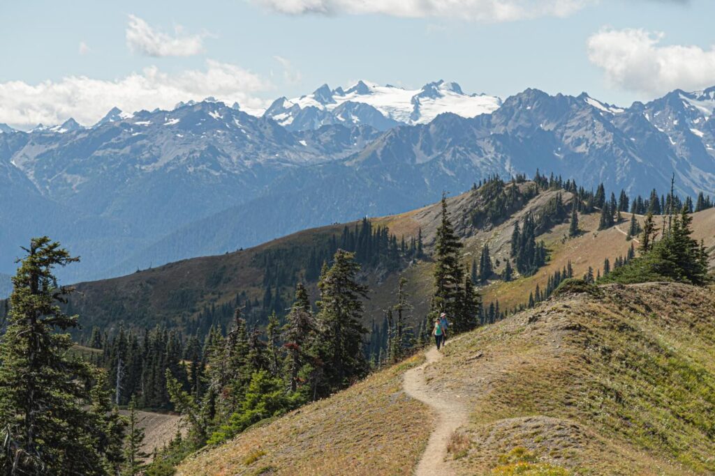 Beauty of Olympic National Park