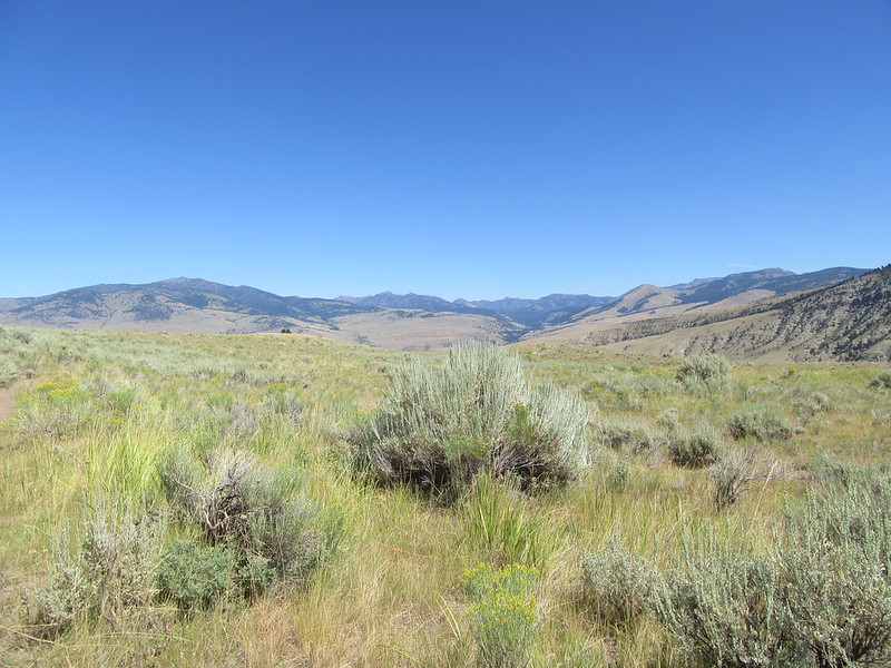 Beaver Pond Trail