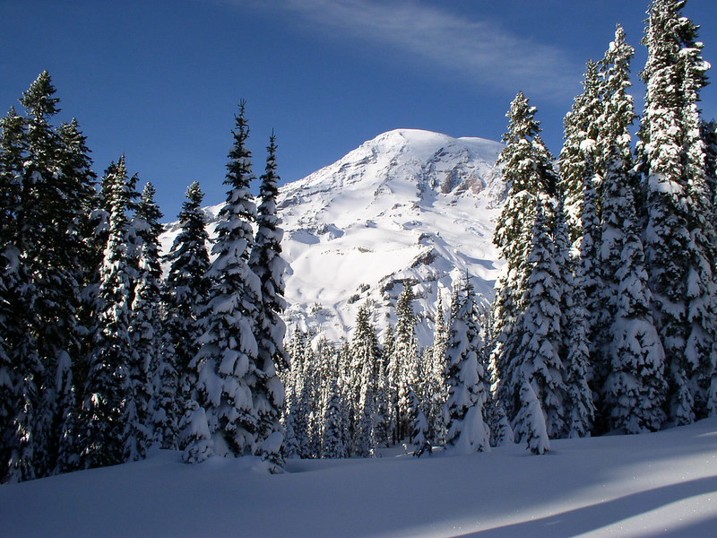 Best Time to Hike in Mount Rainier