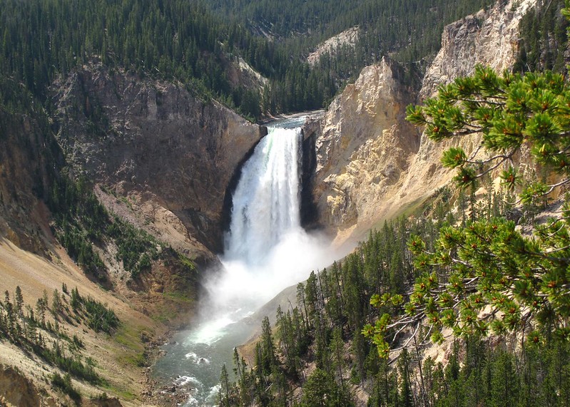 Best Time to Visit Yellowstone National Park