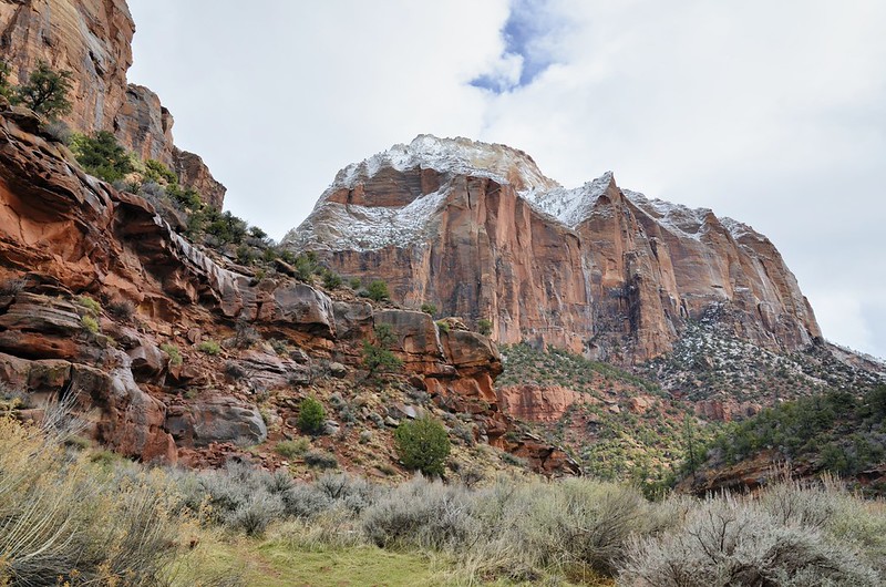 Best Times to Visit Zion National Park