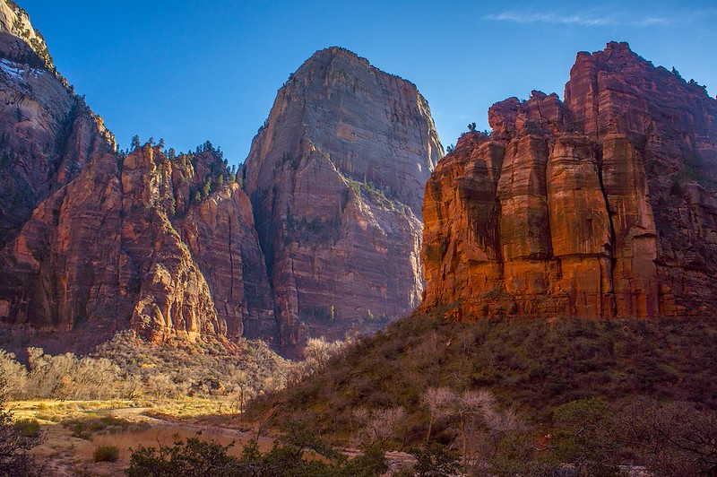 Big Bend, Zion National Park