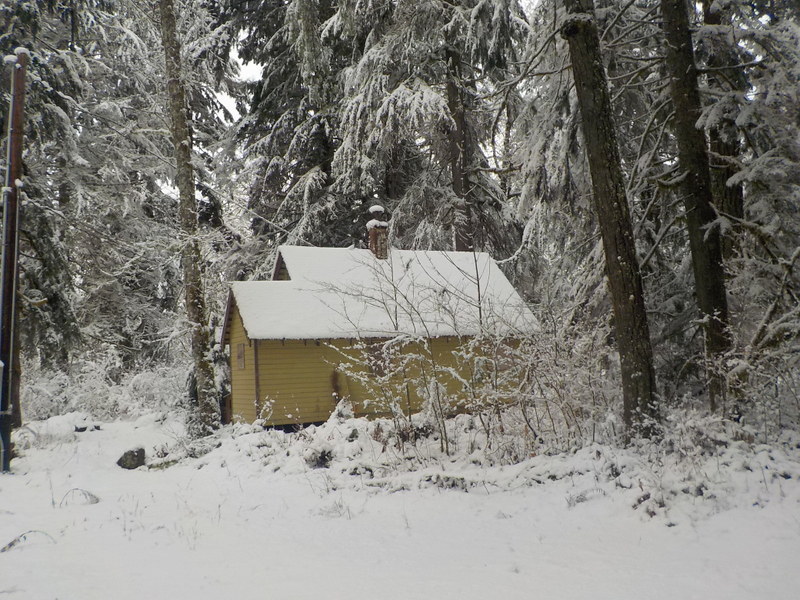 Big Creek Campground cabin