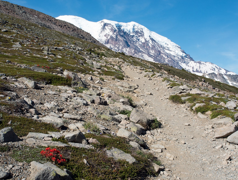 Burroughs Mountain Trail