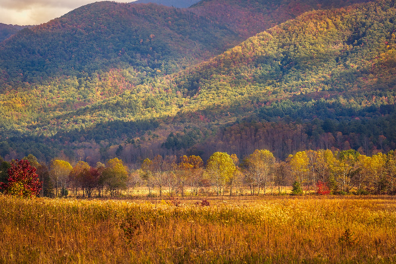 Cades Cove