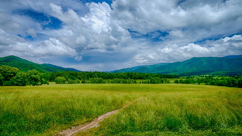 Cade's Cove