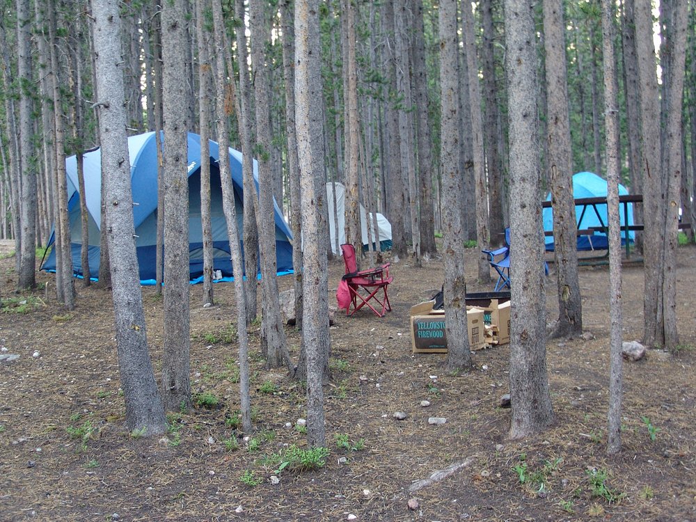 Canyon Campground Overview