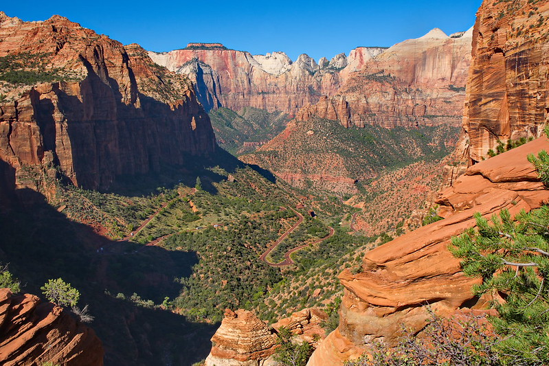 Canyon Overlook Trail: A Scenic Stop Along the Way
