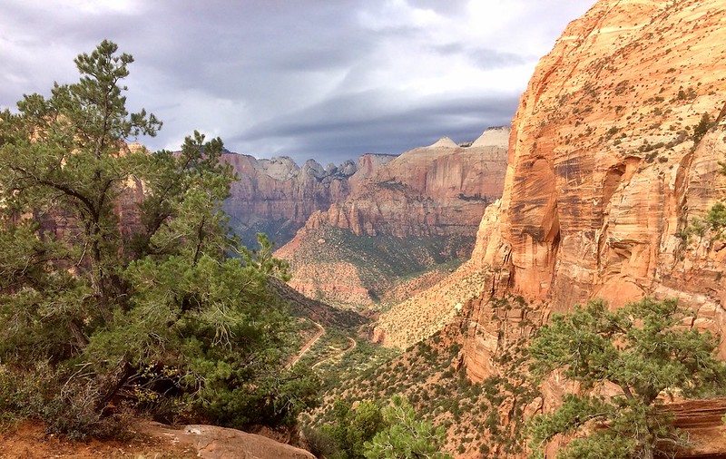 Canyon Overlook