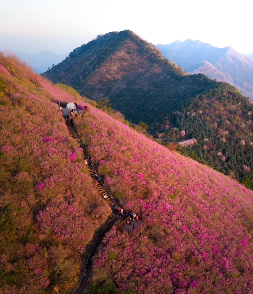 Changwon: A Quiet City with Hidden Charms
