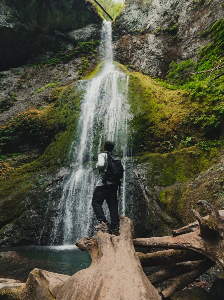 Chasing waterfalls in Olympic
