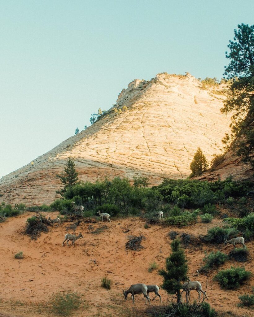 Checkerboard Mesa
