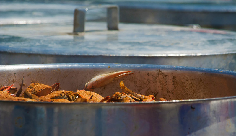 Chesapeake Crab & Beer Festival