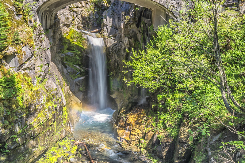 Christine Falls