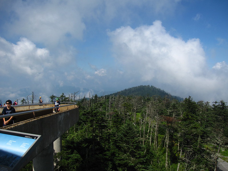 Clingman's Dome
