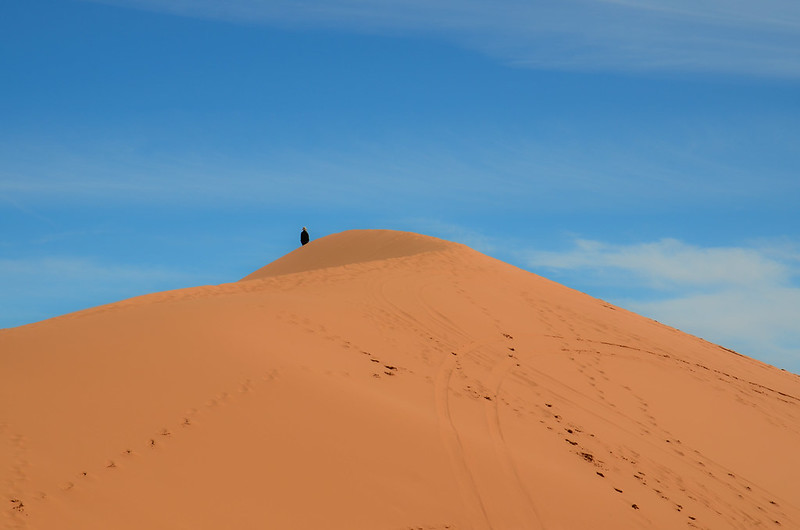 Coral Pink Sand Dunes State Park