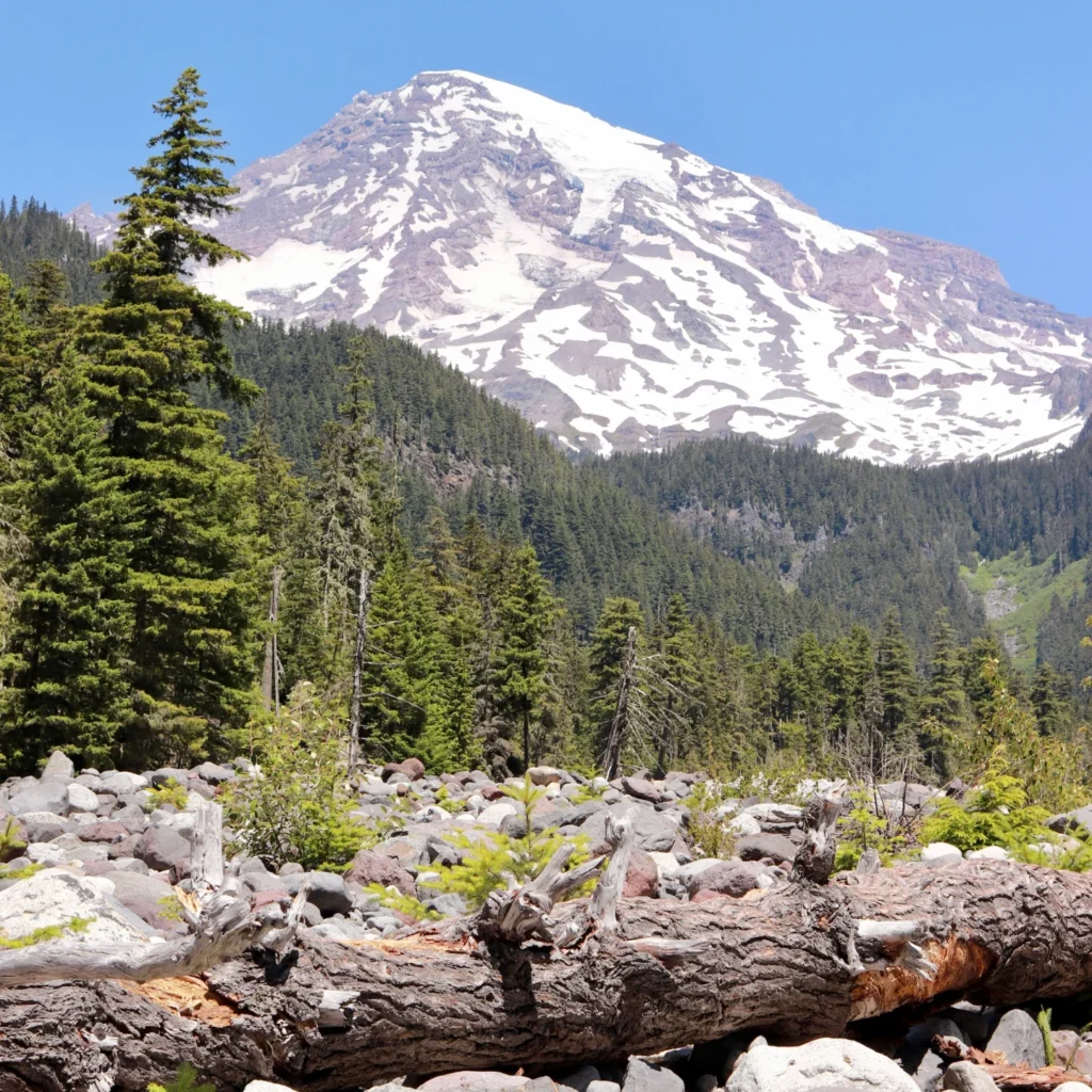 Cougar Rock Campground