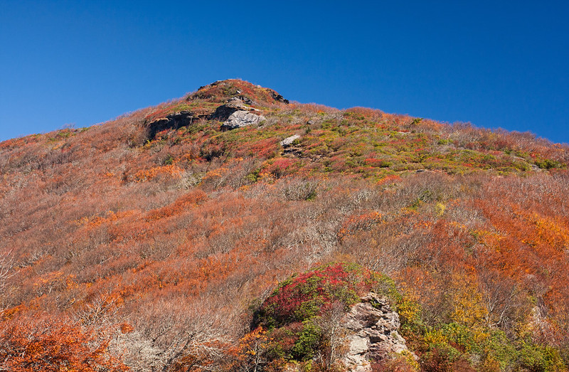 Craggy Gardens: A Blue Ridge Parkway Gem